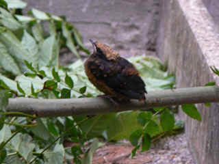 P1000890.jpg (122067 Byte)