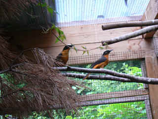 P1000896.jpg (141315 Byte)