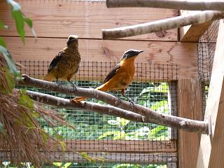 P1010064.jpg (134941 Byte)