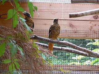 P1010065.jpg (135471 Byte)