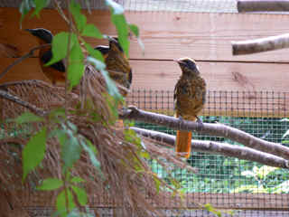 P1010066.jpg (132073 Byte)