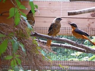 P1010069.jpg (135096 Byte)