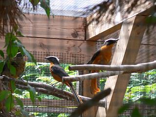 P1010071.jpg (132809 Byte)