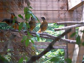 P1010072.jpg (138028 Byte)