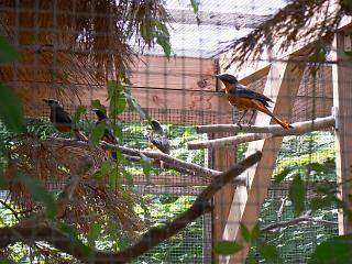 P1010082.jpg (147834 Byte)