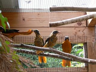 P1010088.jpg (129324 Byte)