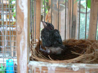 P1010097.jpg (124580 Byte)