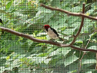 P1010098.jpg (160883 Byte)