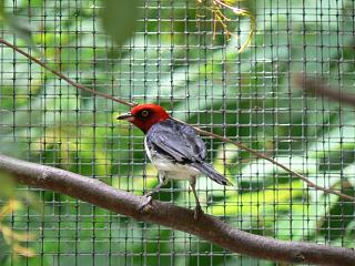 P1010105.jpg (145017 Byte)