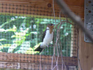 P1010222.jpg (138779 Byte)