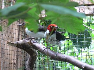 P1010230.jpg (136085 Byte)