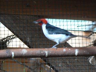 P1010237.jpg (126288 Byte)