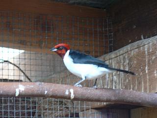 P1010246.jpg (119064 Byte)