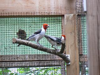 P1010273.jpg (136564 Byte)