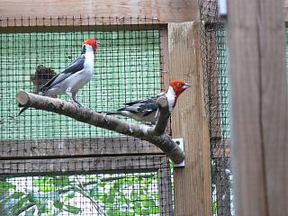 P1010280.jpg (135941 Byte)