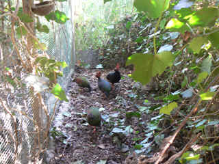 P1010590.jpg (167153 Byte)