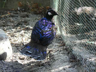 P1010605.jpg (151761 Byte)