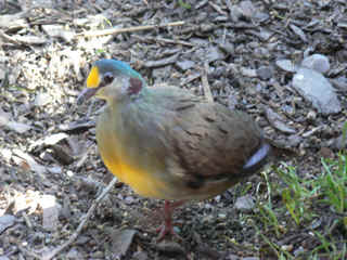 P1010620.jpg (146536 Byte)