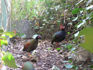 P1010627.jpg (161856 Byte)