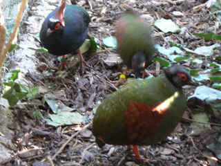 P1010631.jpg (145554 Byte)