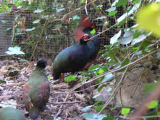 P1010634.jpg (150367 Byte)