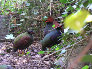 P1010637.jpg (159356 Byte)