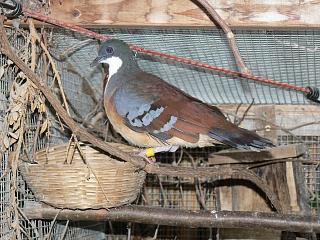 P1020707.JPG (24983 Byte)