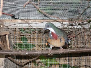 P1020708.JPG (25055 Byte)