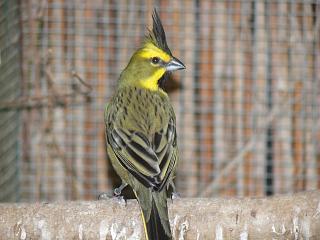 P1020713.JPG (15041 Byte)