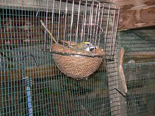 P1020716.JPG (27024 Byte)