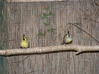 P1020718.JPG (25196 Byte)