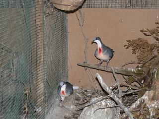 P1020720.JPG (20956 Byte)