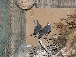 P1020721.JPG (22335 Byte)