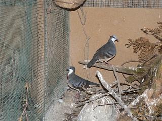 P1020724.JPG (21659 Byte)