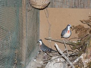 P1020725.JPG (22113 Byte)