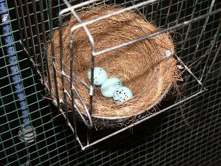 P1020732.JPG (27529 Byte)