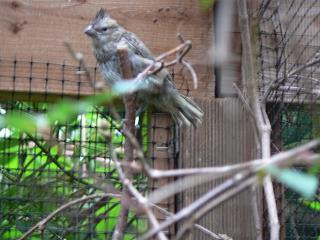 P1020733.JPG (17757 Byte)