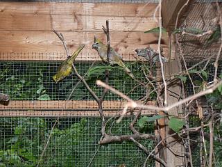 P1020742.JPG (25786 Byte)