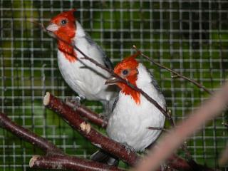 P1020764.JPG (16554 Byte)