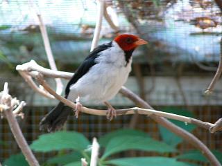 P1060041.JPG (15265 Byte)