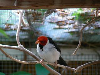 P1060044.JPG (15790 Byte)