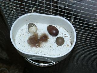 05280002.jpg (89648 Byte)