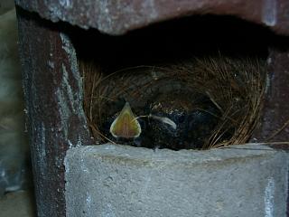 07130008.JPG (87522 Byte)