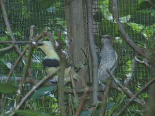 06250028.jpg (16964 Byte)