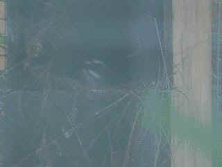 06090009.jpg (5876 Byte)