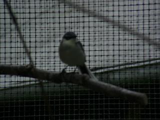 06040035.jpg (15984 Byte)