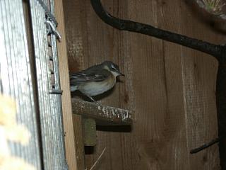 06040036.jpg (13273 Byte)