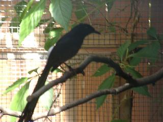 06090010.jpg (14913 Byte)