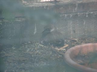 06090006.jpg (8805 Byte)