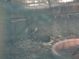 06090005.jpg (10368 Byte)